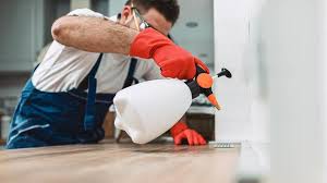 Best Pest Exclusion Services  in Kingsland, GA